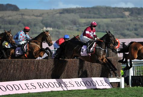 Cheltenham Tips for Saturday: Check out our best bets for day .